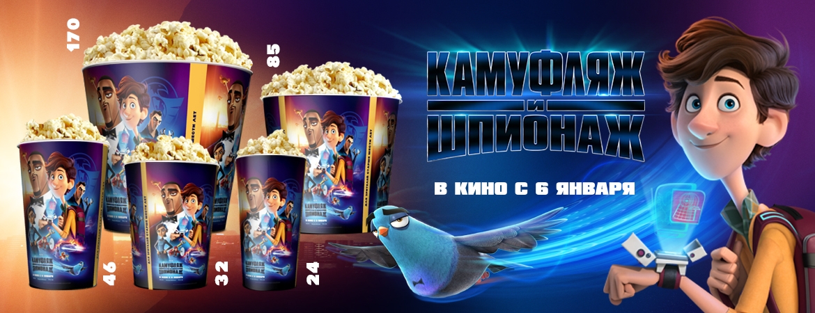 Камуфляж и шпионаж